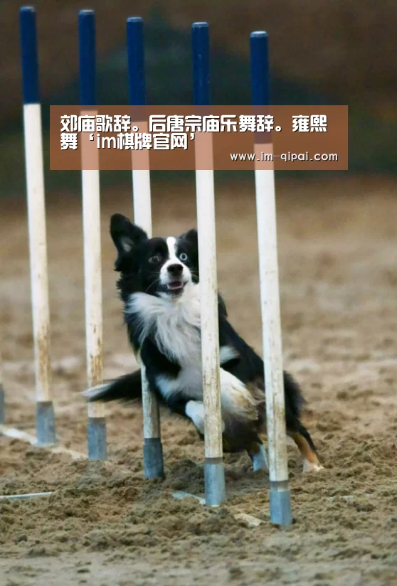 郊庙歌辞。后唐宗庙乐舞辞。雍熙舞‘im棋牌官网’(图1) im棋牌