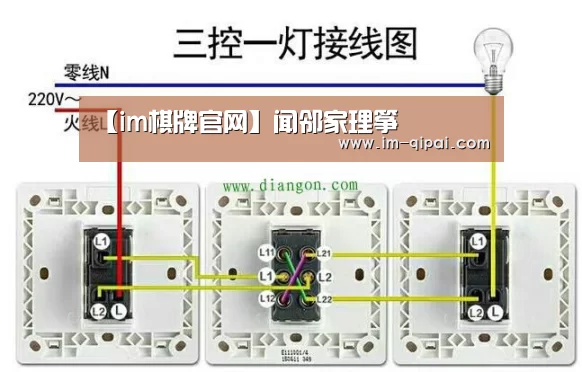 【im棋牌官网】闻邻家理筝(图3) im棋牌官网