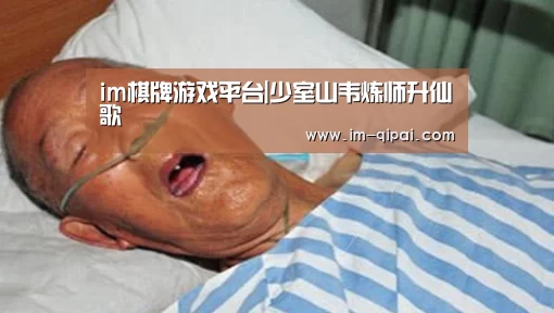 im棋牌游戏平台