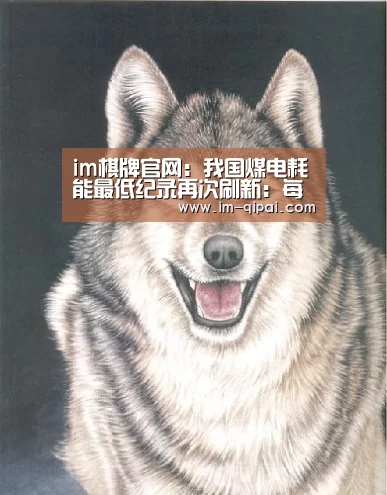 im棋牌官网:我国煤电耗能最低纪录再次刷新:每度电煤耗253克(图4) im棋牌官网