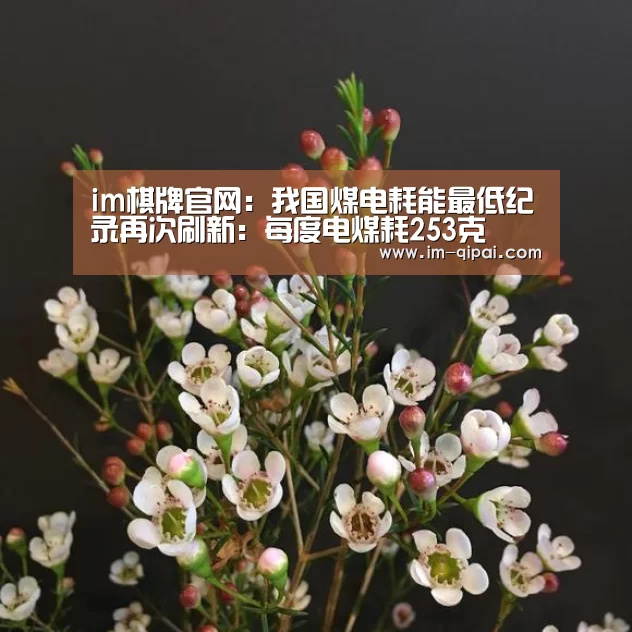 im棋牌官网:我国煤电耗能最低纪录再次刷新:每度电煤耗253克(图2) im棋牌APP下载