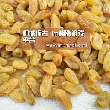 邺城怀古_im棋牌游戏平台(图2) im棋牌APP下载
